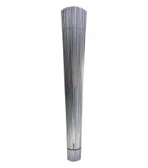 Cây Ti Trắng