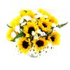 Sunshine